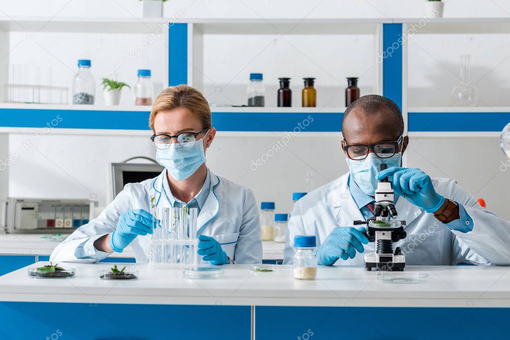 african american biologist using microscope and his colleague looking at leaves in test  tube