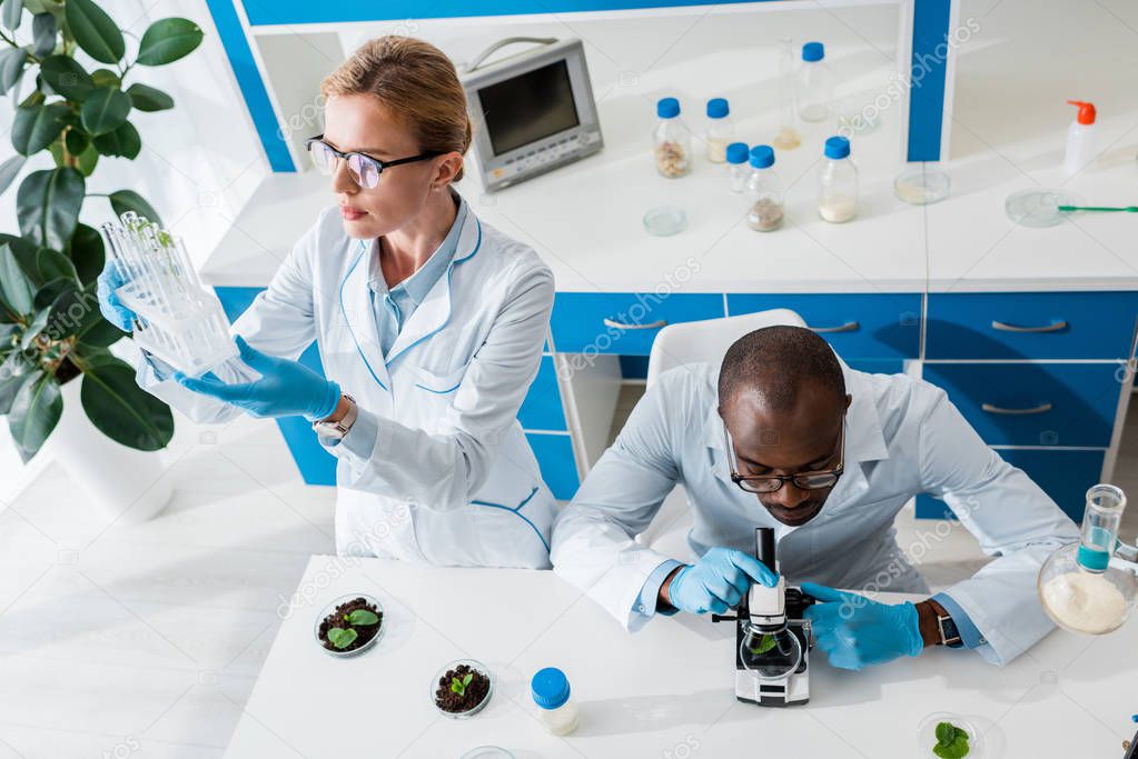 high angle view of biologist looking at test tubes and african american colleague using microscope