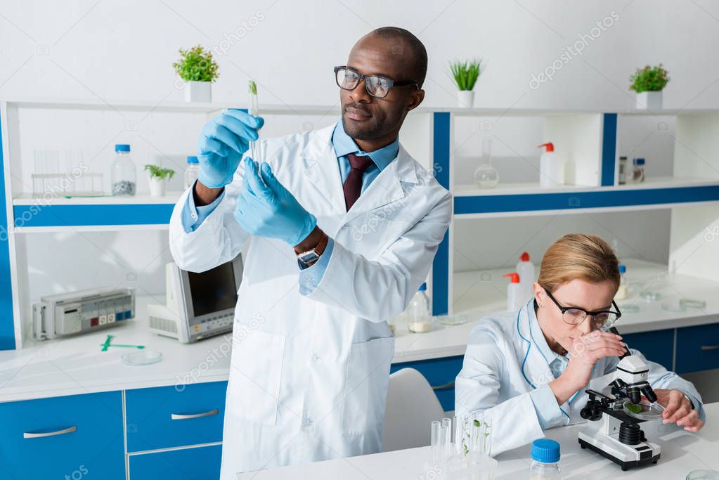 african american biologist holding test tube and colleague using microscope 