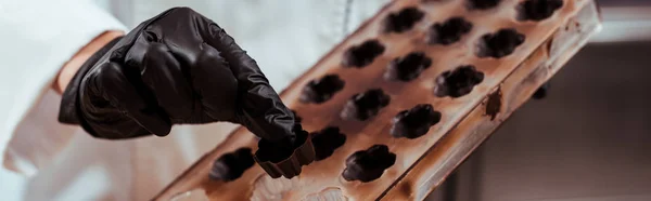 Tiro Panorâmico Chocolatier Segurando Doces Chocolate Perto Bandeja Gelo — Fotografia de Stock