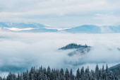 malerischer Blick auf schneebedeckte Berge mit Kiefern in weißen, flauschigen Wolken