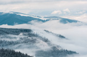 malebný pohled na zasněžené hory s borovicemi v bílých nadýchaných mracích