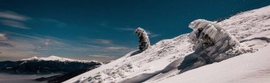 Akşam vakti, çam ağaçları ve beyaz kabarık bulutlarla karlı dağ manzarası, panoramik çekim.