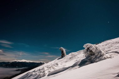 Çam ağaçlarıyla karlı dağ manzarası ve akşam vakti, beyaz kabarık bulutlar.