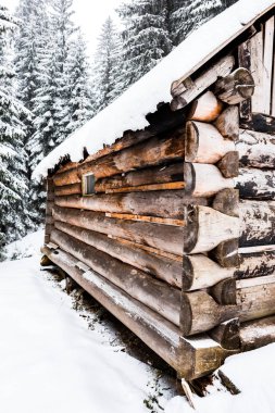 Karla kaplı çam ağaçlarının yanındaki eski ahşap evin manzarasını kapat.