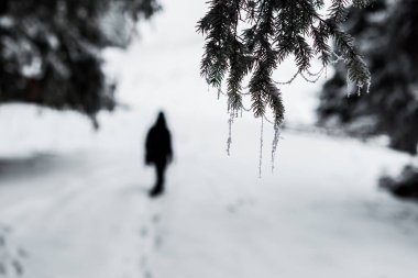 Donmuş ladin dallarının seçici odağı Gezgin 'in donuyla ve siluetiyle kaplıdır.