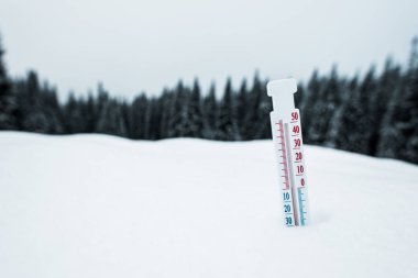 thermometer in mountains covered with snow with pine trees clipart