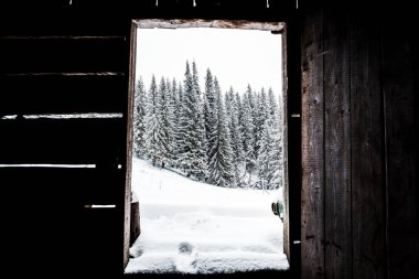 Çam ağaçları ve beyaz kabarık bulutlu karlı dağların manzarası