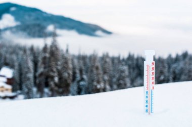 Çam ağaçları ve beyaz kabarık bulutlarla karlı dağlarda termometre