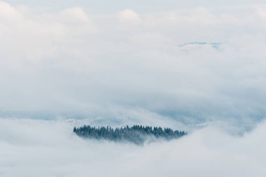 scenic view of snowy mountains with pine trees in white fluffy clouds clipart