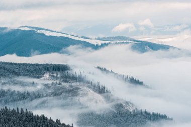 Beyaz kabarık bulutlarda çam ağaçları olan karlı dağların manzarası