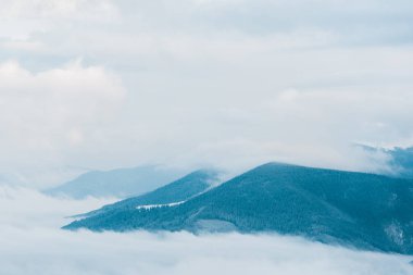 Beyaz kabarık bulutlarda çam ağaçları olan karlı dağların manzarası