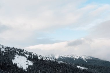 Beyaz kabarık bulutlarda çam ağaçları olan karlı dağların manzarası