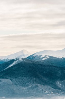 Beyaz kabarık bulutlarda çam ağaçları olan karlı dağların manzarası