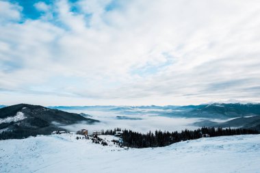 Beyaz kabarık bulutlarda çam ağaçları olan karlı dağların manzarası
