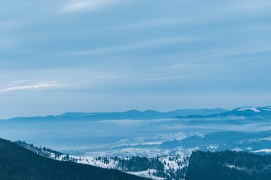 Çam ağaçları ve bulutlu gökyüzü ile karlı dağların manzarası