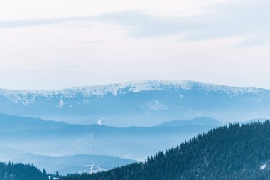Çam ağaçları ve bulutlu gökyüzü ile karlı dağların manzarası