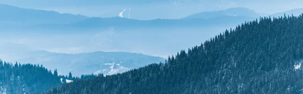 scenic view of snowy mountains with pine trees and white fluffy clouds, panoramic shot