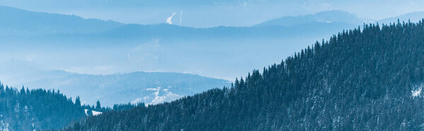 живописный вид снежных гор с соснами и белыми пушистыми облаками, панорамный снимок
