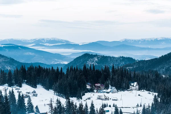 scenic view of snowy mountains with pine trees and small village