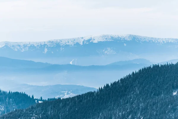 Vista Panorâmica Montanhas Nevadas Com Pinheiros Nuvens Brancas Fofas — Fotografia de Stock