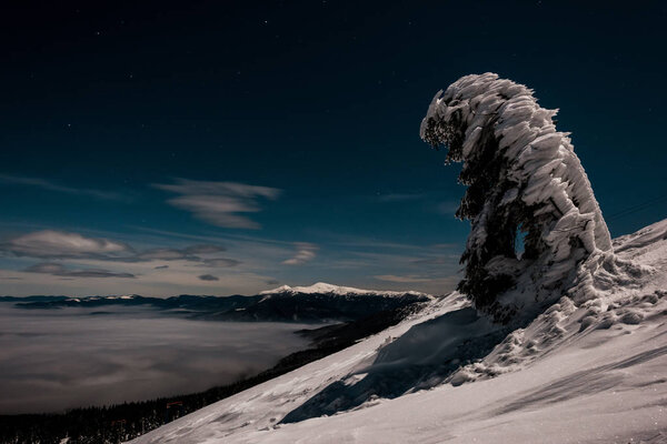 scenic view of mountain and pine tree covered with snow against dark sky in evening