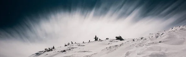 Malowniczy Widok Góry Pokryte Śniegiem Sosnami Przeciwko Ciemnemu Niebu Wieczorem — Zdjęcie stockowe