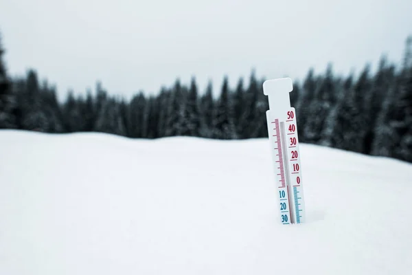 Thermometer Mountains Covered Snow Pine Trees — Stock Photo, Image