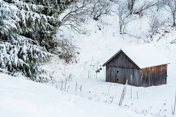 Aged Wooden House Snowy Mountains Trees — Stock Photo, Image