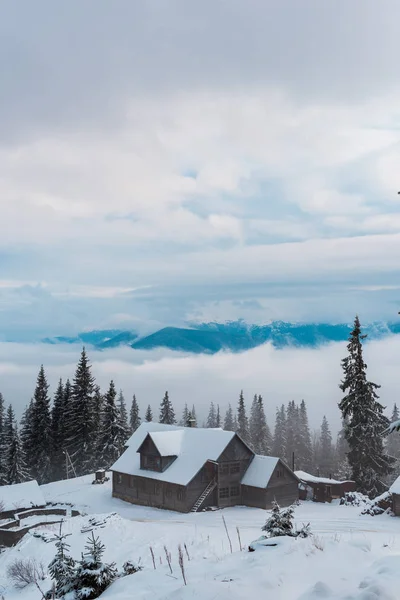 Scenic View Snowy Mountain Village Pine Trees Wooden Houses — Stock Photo, Image