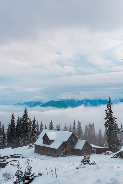 scenic view of snowy mountain village with pine trees and wooden houses