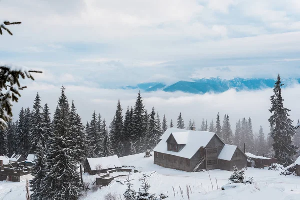 scenic view of snowy mountains with pine trees and white fluffy clouds