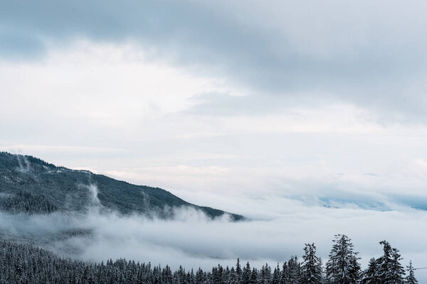 scenic view of snowy mountains with pine trees and white fluffy clouds