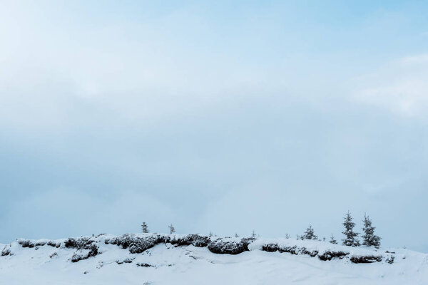 scenic view of snowy hill with pine trees and white fluffy clouds
