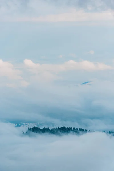 scenic view of snowy mountains with pine trees in white fluffy clouds