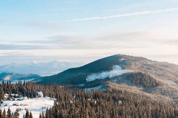 scenic view of small village in snowy mountains with pine trees at sunlight