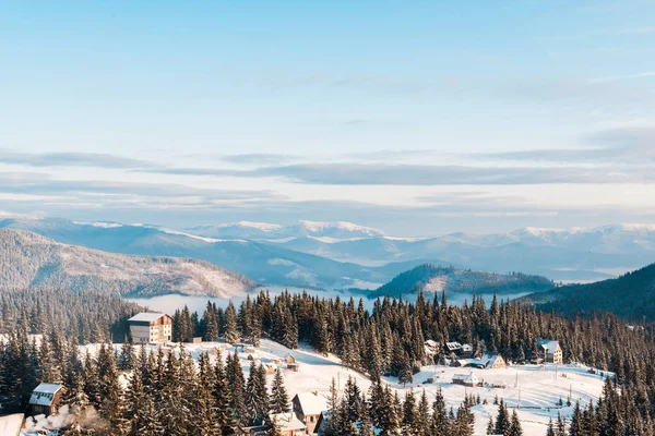 scenic view of small village in snowy mountains with pine trees at sunlight