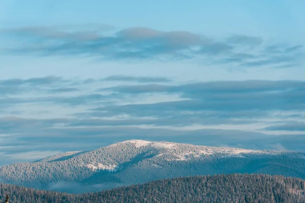 Panoramisch Uitzicht Besneeuwde Bergen Met Dennenbomen Zon — Stockfoto