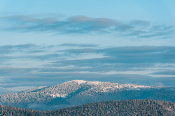 scenic view of snowy mountains with pine trees in sunshine
