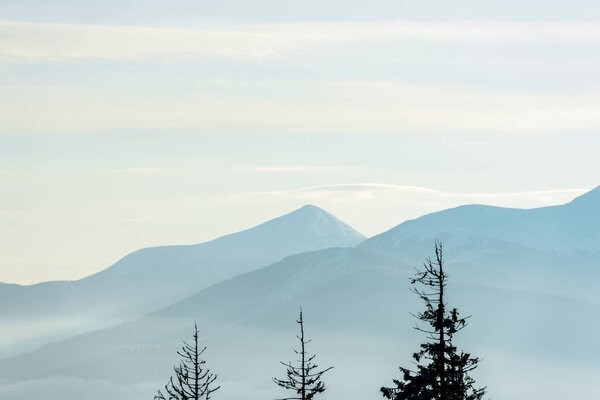 scenic view of mountains with pine trees in sunshine