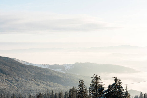 scenic view of snowy mountains with pine trees in sunlight