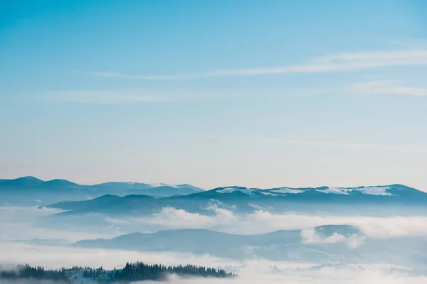 白色蓬松的云彩覆盖着松树的雪山风景 — 图库照片