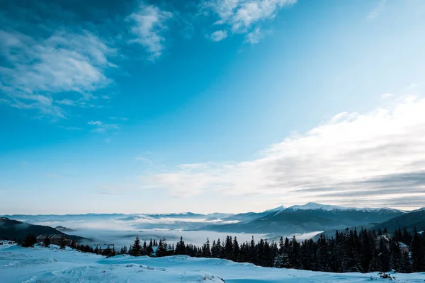 scenic view of snowy mountains with pine trees in white fluffy clouds
