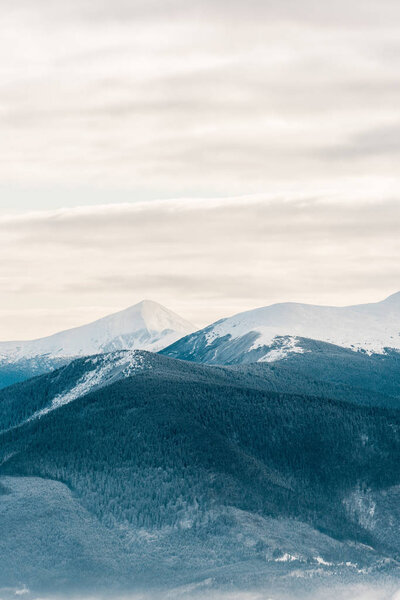 scenic view of snowy mountains with pine trees in white fluffy clouds