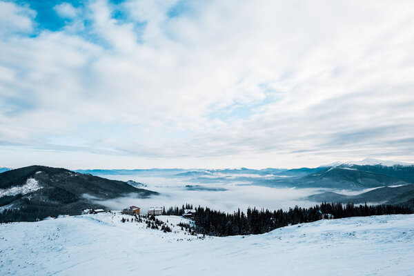 scenic view of snowy mountains with pine trees in white fluffy clouds