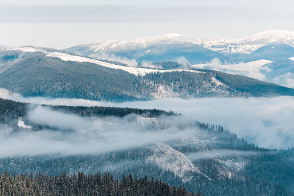 scenic view of snowy mountains with pine trees in white fluffy clouds