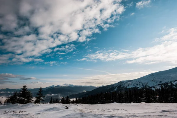 白色蓬松的云彩覆盖着松树的雪山风景 — 图库照片