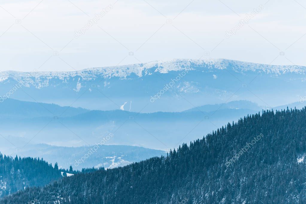 scenic view of snowy mountains with pine trees and white fluffy clouds