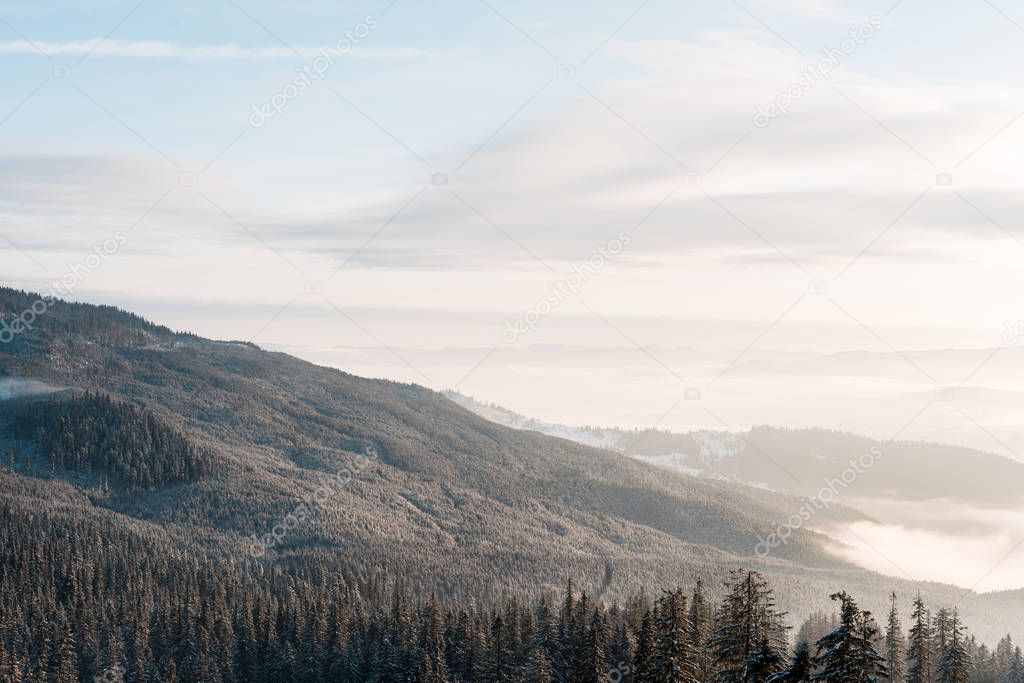 scenic view of snowy mountains with pine trees in white fluffy clouds and sunlight