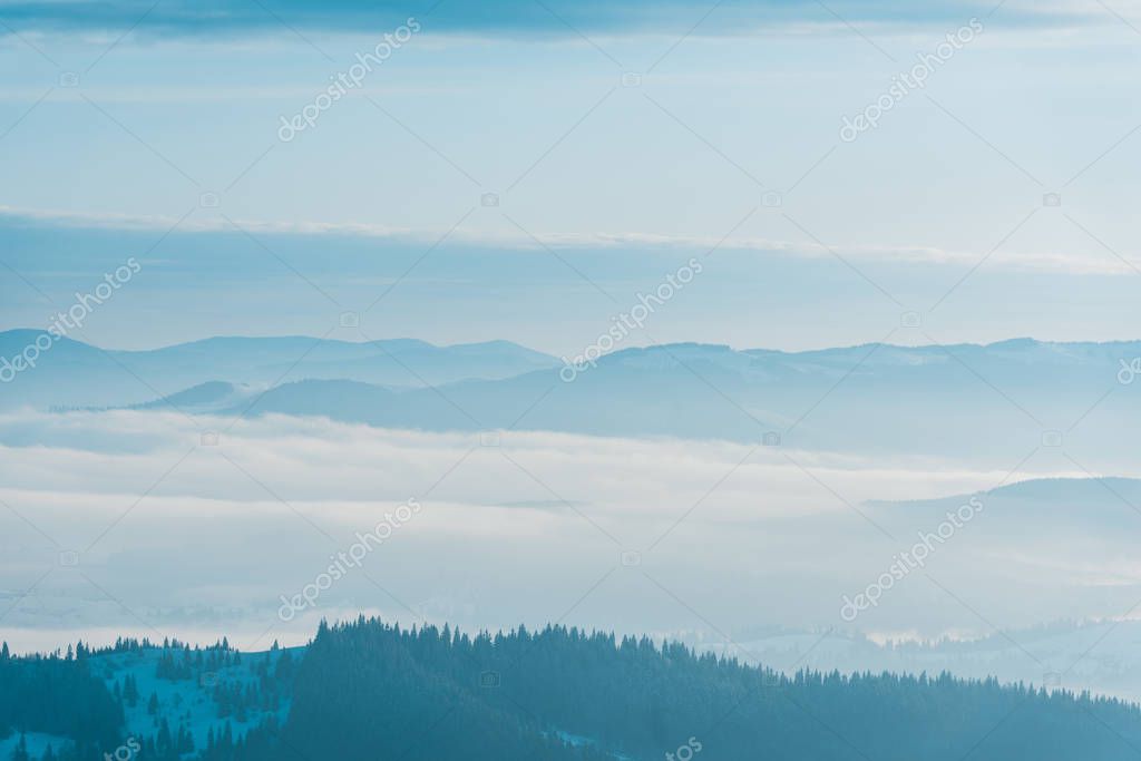 HayDmitriy
